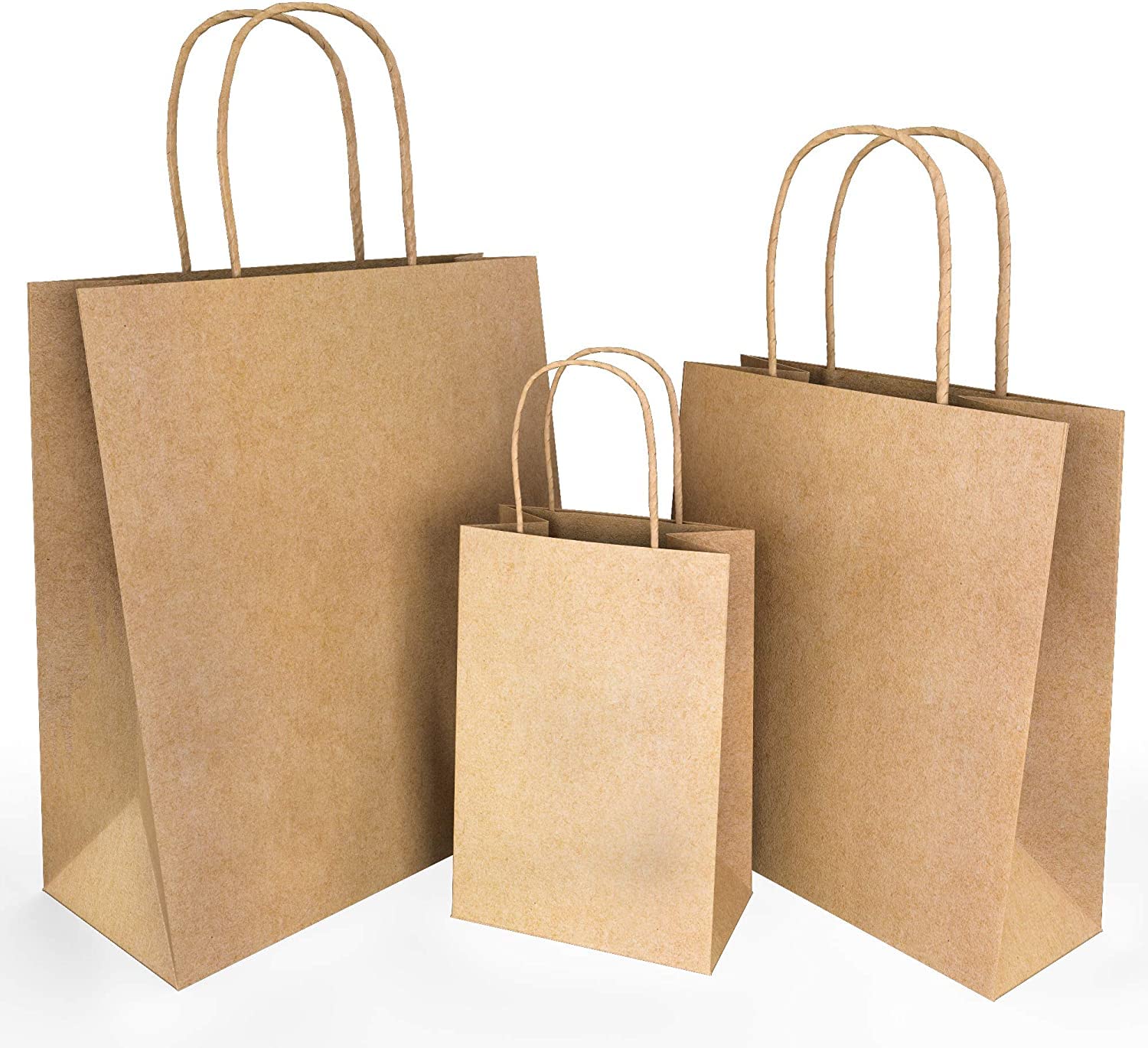 Paper Bag with Handles