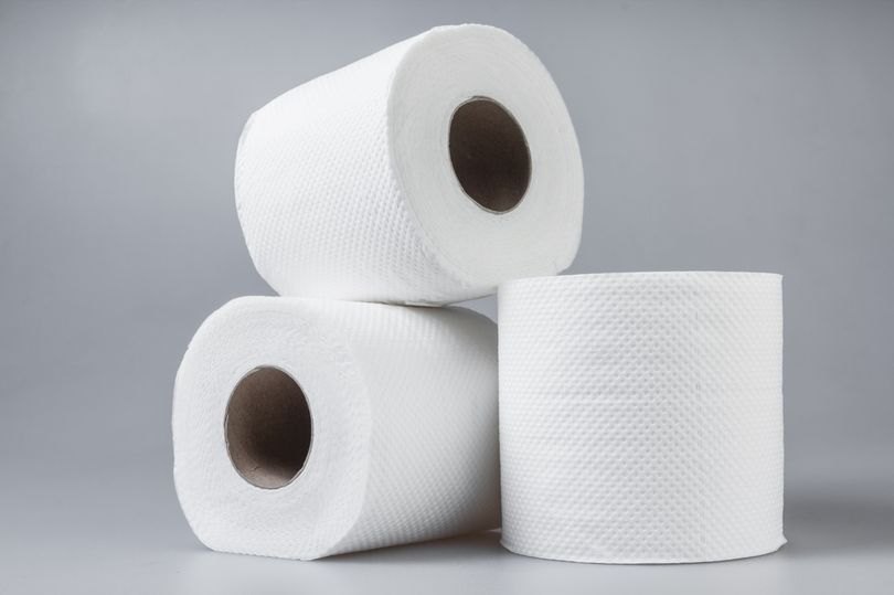Plain Toilet Rolls